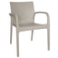 SILLA OFFIHO ALISSA OHV - 91 | Silla Uso Comercial Residencial para Restaurante Cafetería Terraza | Resistente Rayos UV | Polipropileno | Interior + Exterior - OHV - 91 - OFFIHO - NOGAL BEAT - Sillas